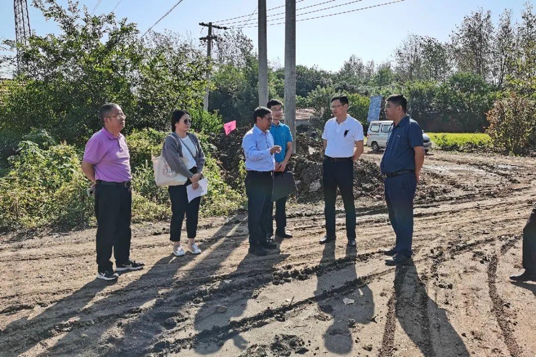 淮安水利局 市水利局局长沈启涛调研大运河"百里画廊"工程