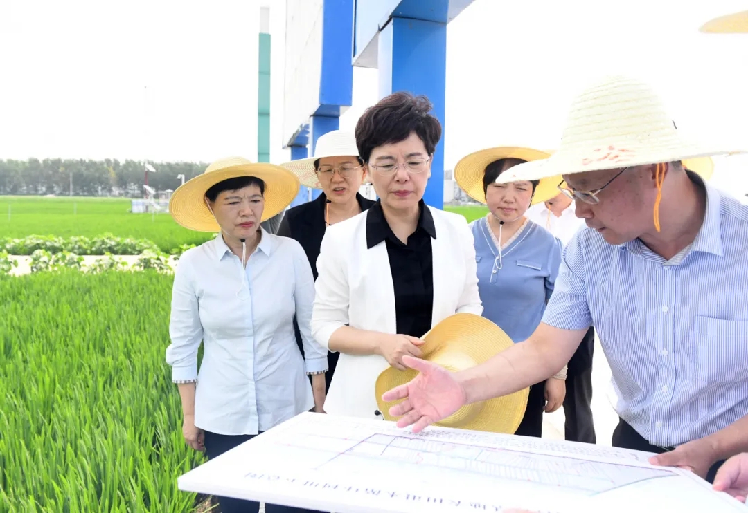 省委常委、省委宣传部部长徐缨来淮开展巡河和调...